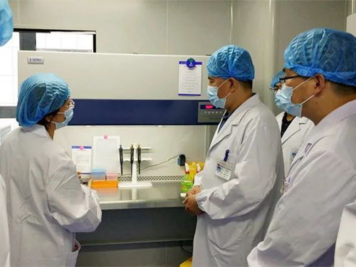我市四家核酸檢測實驗室全部建成投用，日最高檢測能力近五千人份